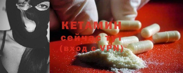 трава Бородино