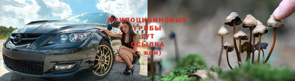амф Наволоки