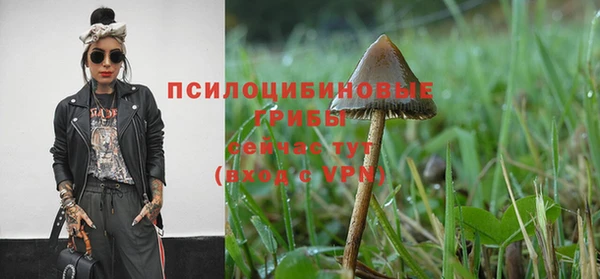2c-b Михайловка