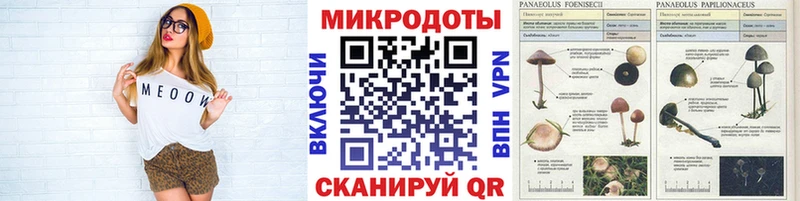 Псилоцибиновые грибы ЛСД дарнет шоп Добрянка