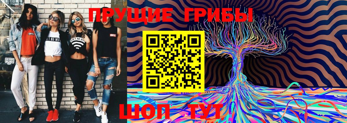 Галлюциногенные грибы Psilocybe  Вход с VPN  купить  сайты  Добрянка 