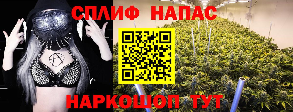Бошки Шишки SATIVA & INDICA  Бошки Шишки SATIVA & INDICA  Добрянка  Бошки Шишки SATIVA & INDICA  Бошки Шишки SATIVA & INDICA  Бошки Шишки SATIVA & INDICA  Бошки Шишки SATIVA & INDICA 